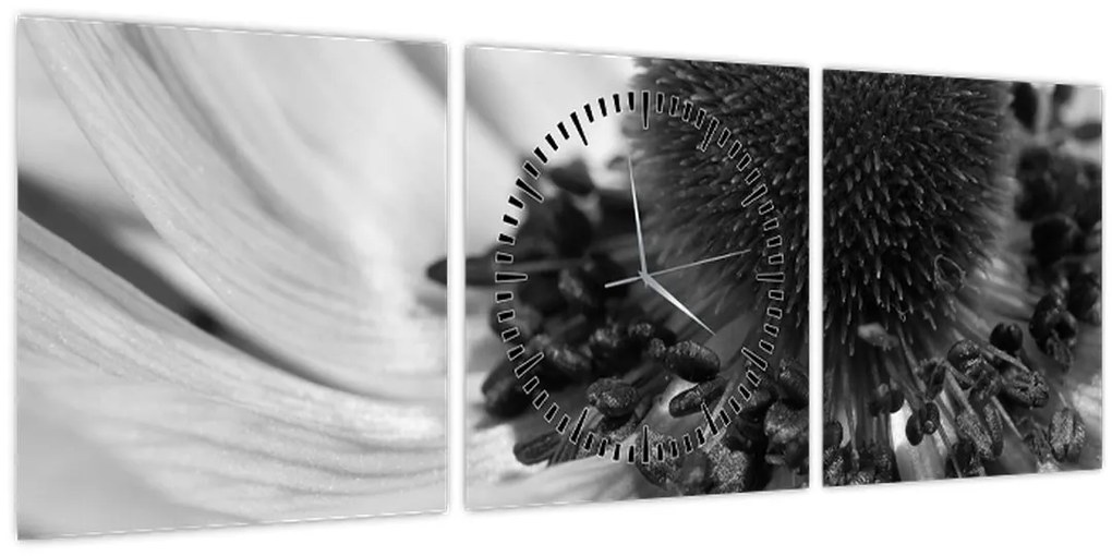 Kép - Virág fekete-fehérben (órával) (90x30 cm)