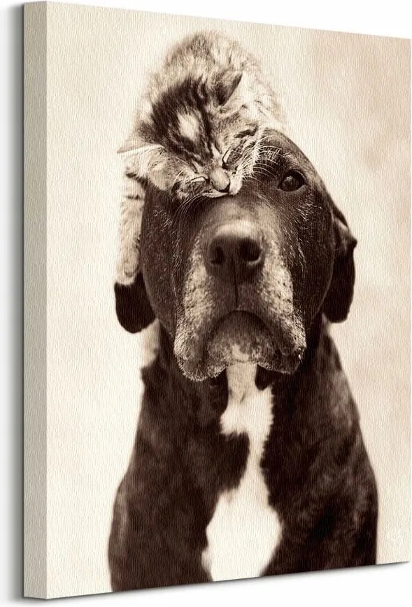Kutya és macska vászonkép 40x50 cm