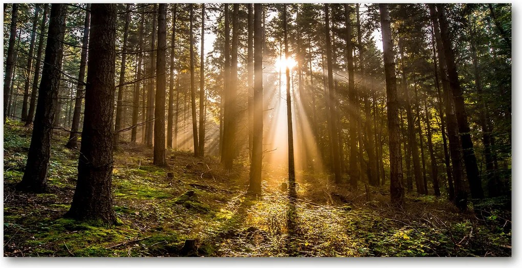 Konyhai napelemes panel 140x70 cm Ragasztó