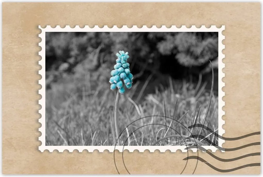 Poszter 60x40 Türkiz virág