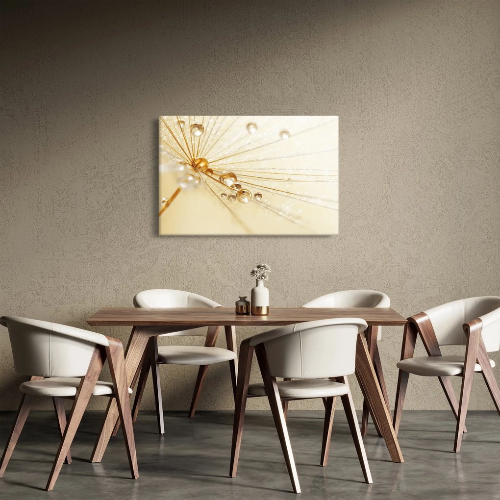 Kép - Makro fotó pitypangról (90x60 cm)