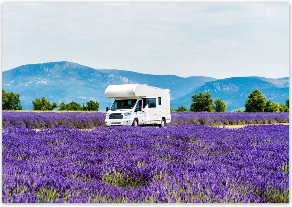 Poszterek 100x70 Lakókocsi a levendulamezők között