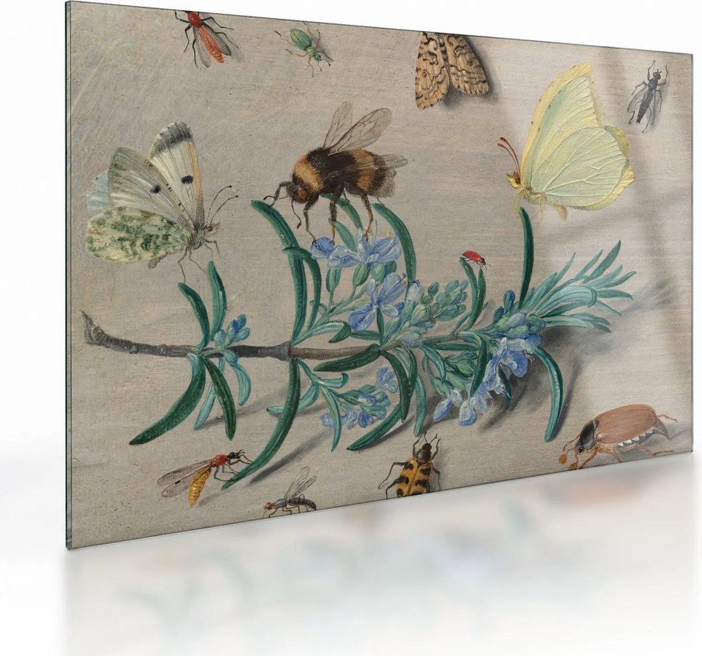 Üveg kép - Jan van Kessel the Elder, Insects and a Sprig of Rosemary, reprodukciók (70x50 cm)