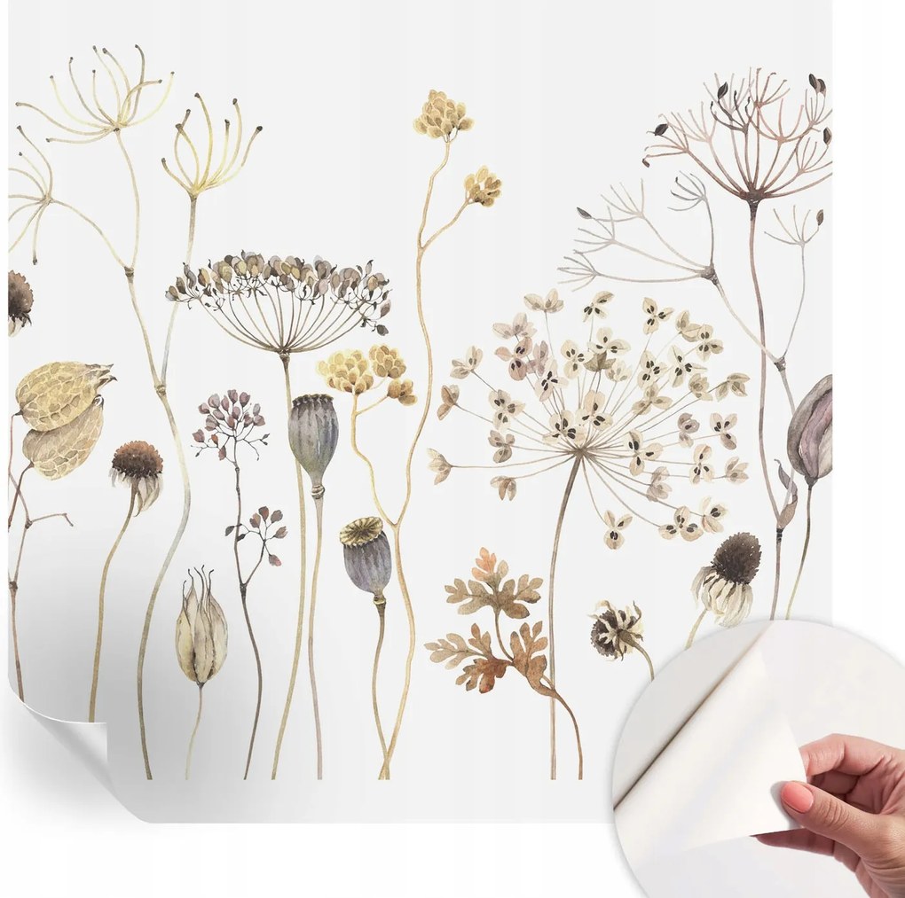 Öntapadós Dekoratív Fotótapéta Hálószobába Mezei virágok 250x250 cm