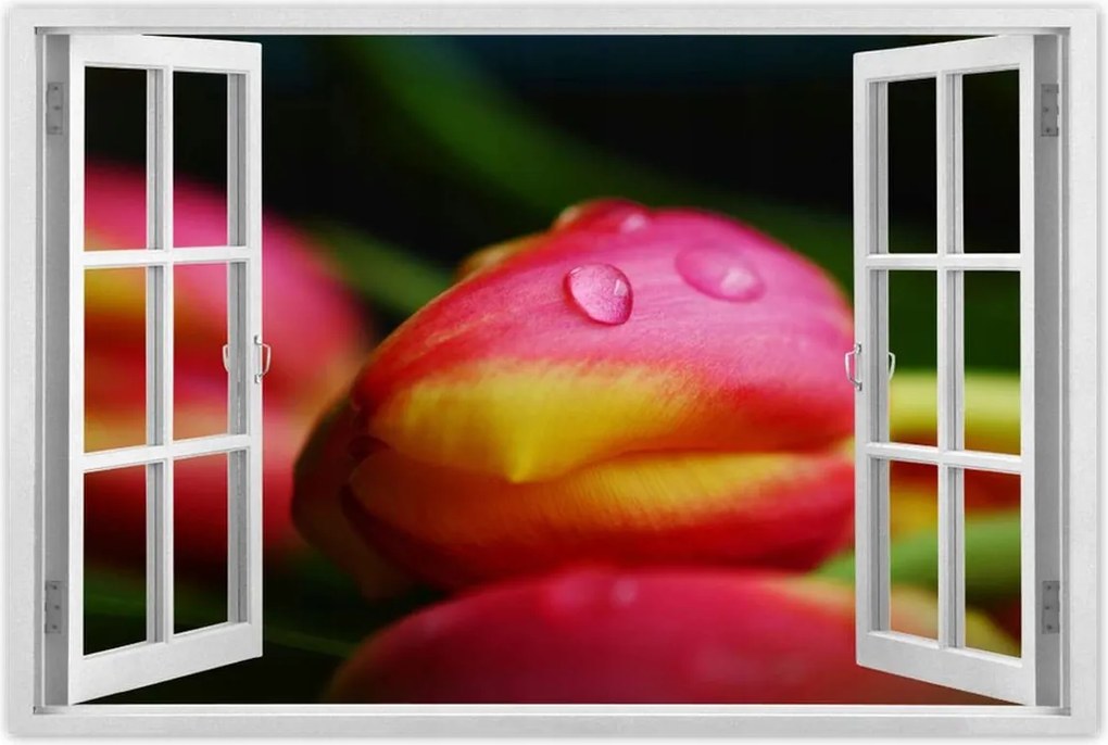 Poszterek 90x60 Tulipánok makró fotó