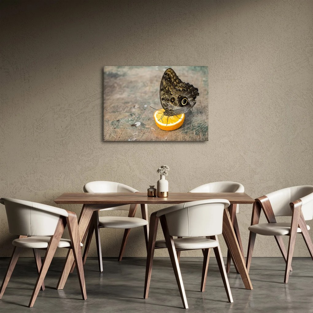 Pillangó képe (70x50 cm)
