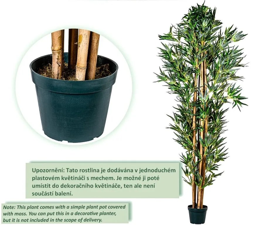 PLANTASIA Műnövény bambusz 220 cm