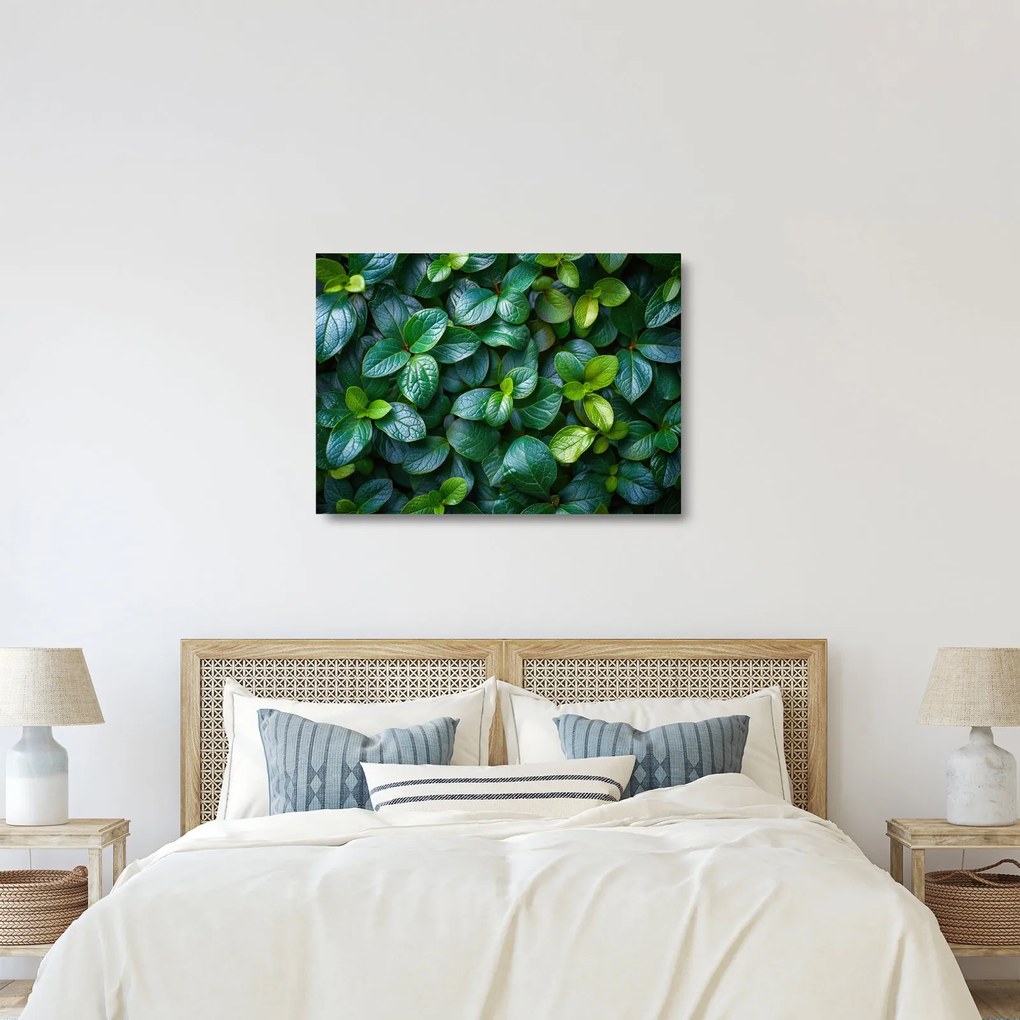 Üveg kép - Zöld növények (70x50 cm)