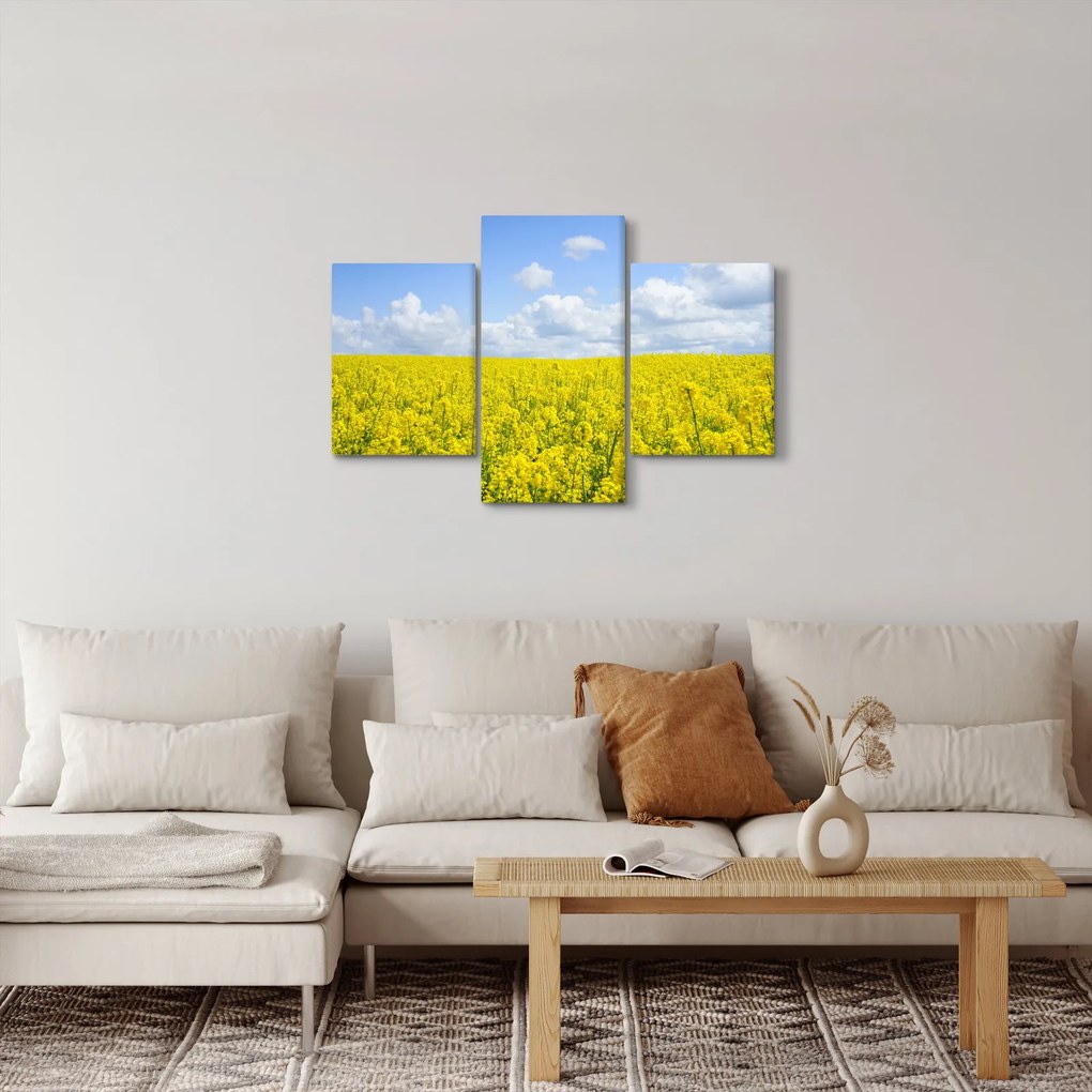 Egy sárga mező képe (90x60 cm)