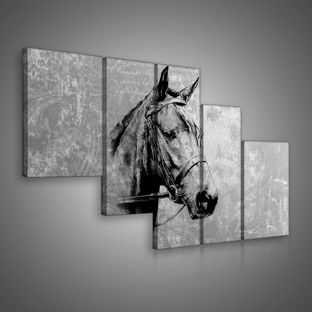 Vászonkép 170x100 Ló fej ló portré állat fekete-fehér minimalizmus