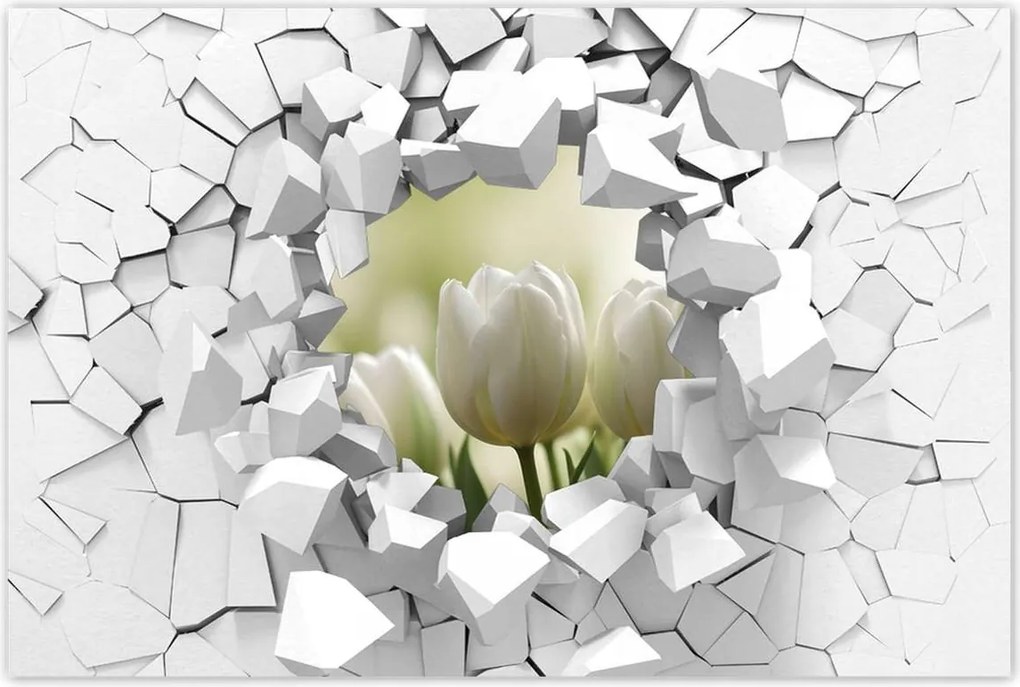 Poszterek 90x60 Fehér tulipánok