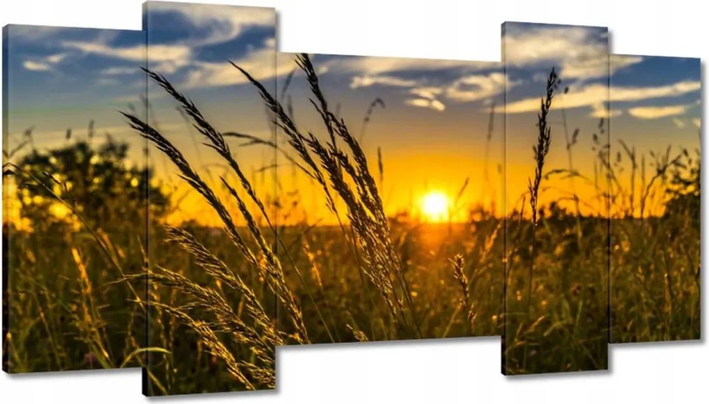 Képek 120x65 Naplemente a füvek között