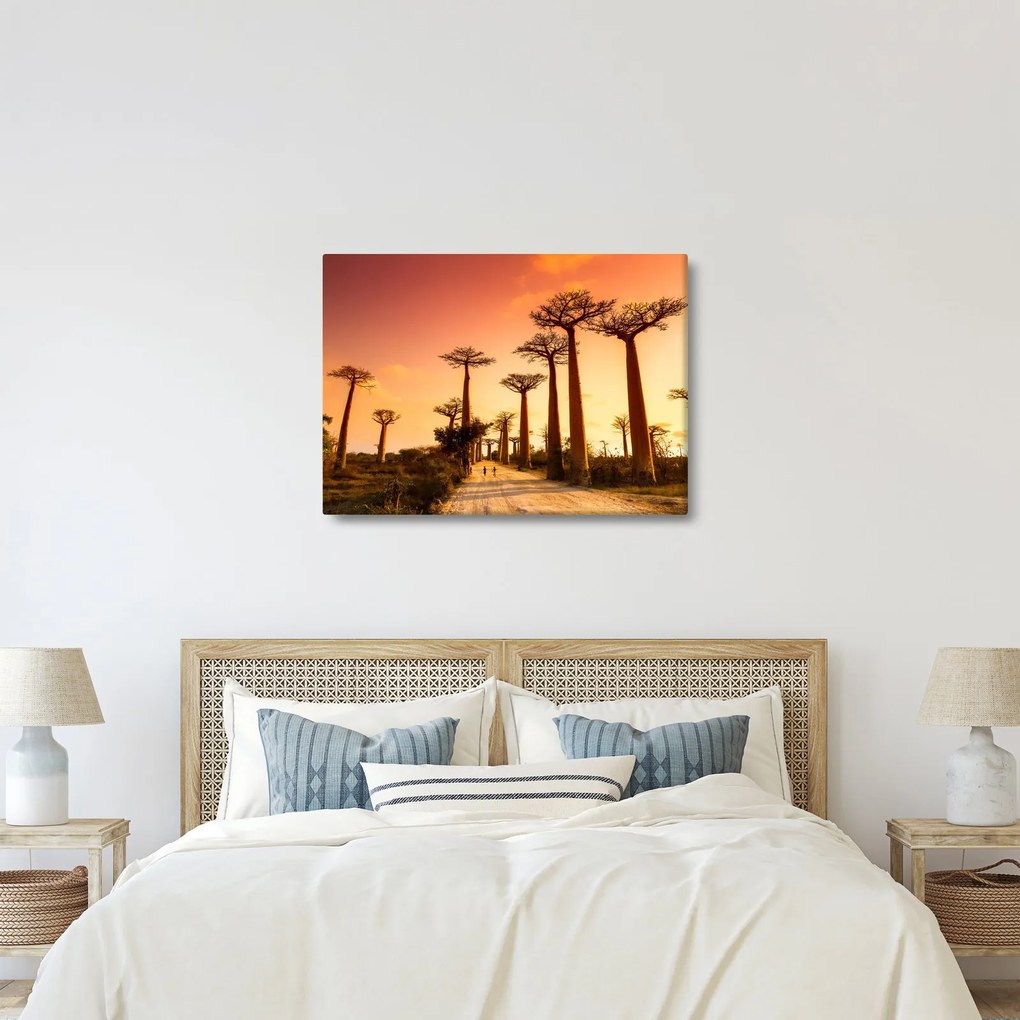 Kép - Naplemente a Baobab Alley-ben (70x50 cm)