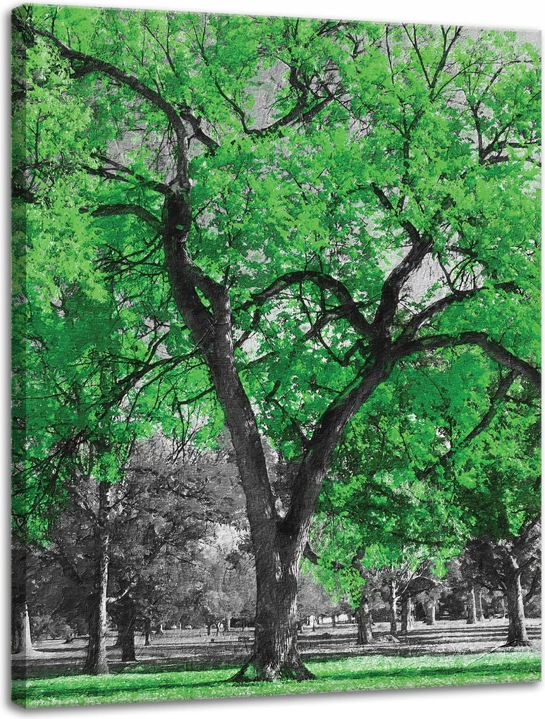 Vászonkép Fekete fák Zöld levelek Művészet 30x40 cm