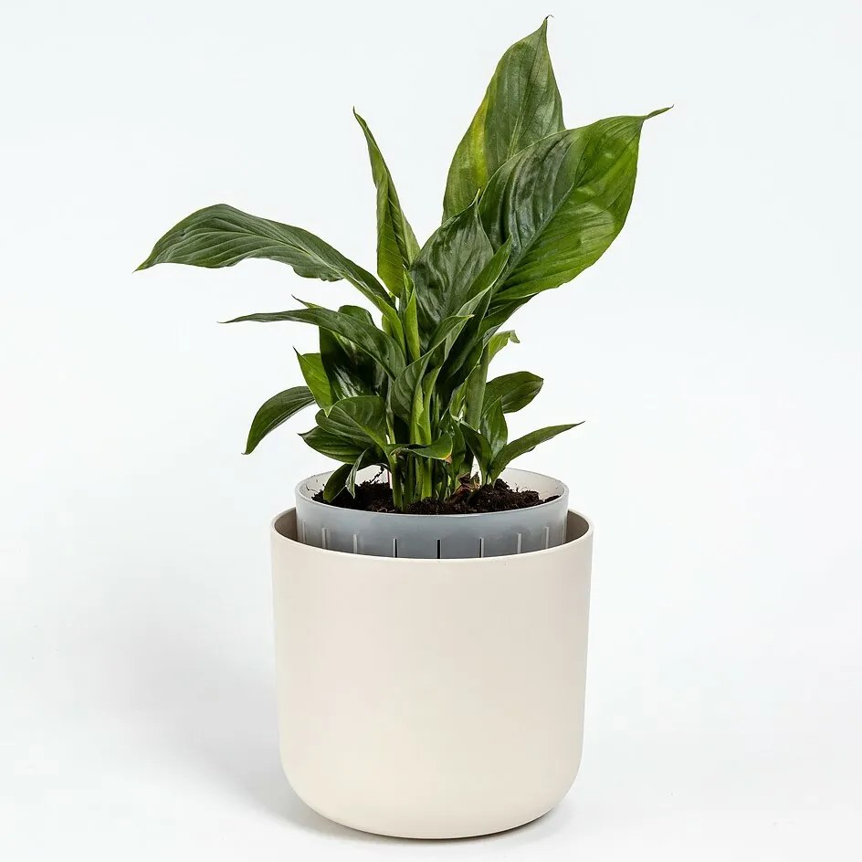 Plastia öntözőedény Tolita Air krém, 16 cmátmérőjű, 16 cm átmérőjű