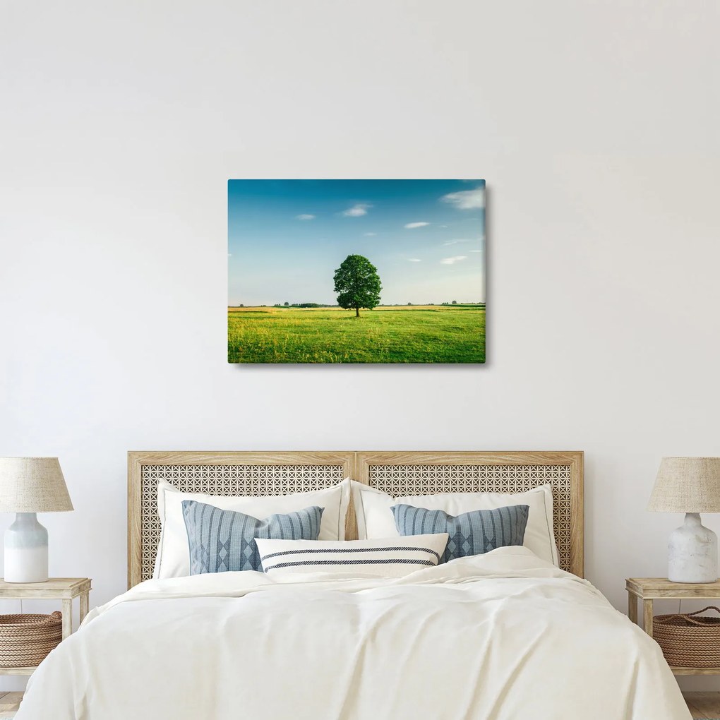 Fa képe a réten (70x50 cm)