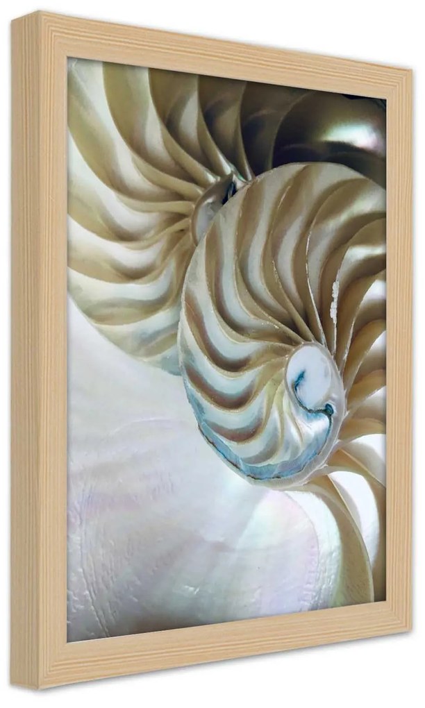 Gario Poszter Egy kagyló belseje A keret színe: Fekete, Méret: 70 x 100 cm
