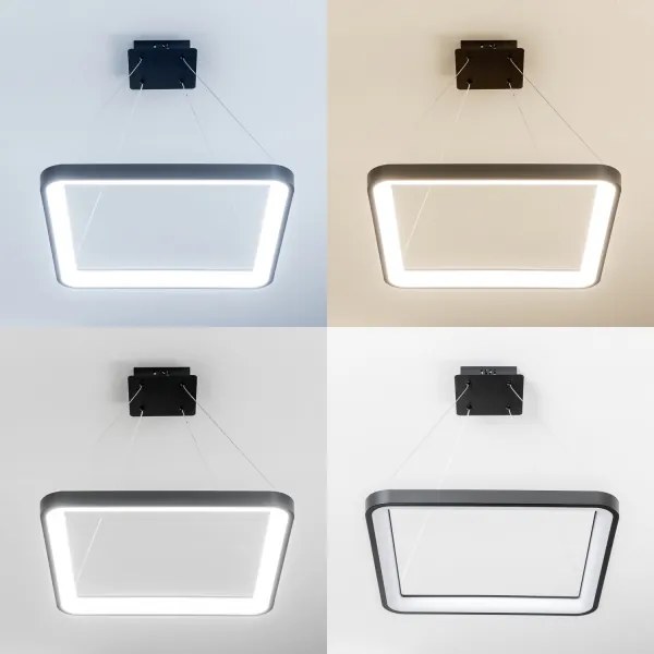 Brilagi - LED dimmelhető kábeles csillár FALCON SLIM LED/50W/230V 50x50 cm fekete + távirányító