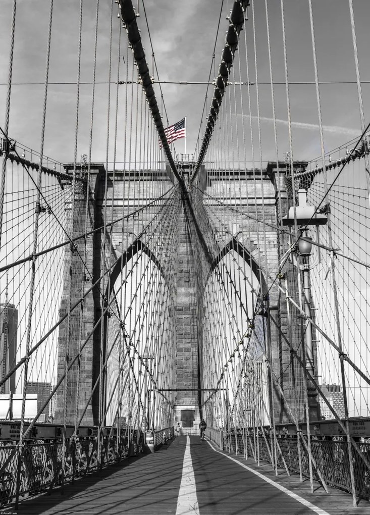 Poszter 39,5x55cm Gyalogátkelőhely a Brooklyn hídon, Assaf Frank
