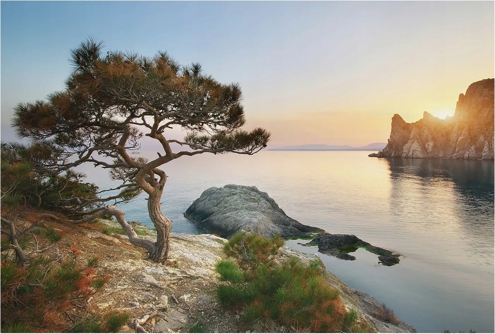 Dekoratív fotótapéta az irodába Nyugodt természet 104x70 Ragasztó