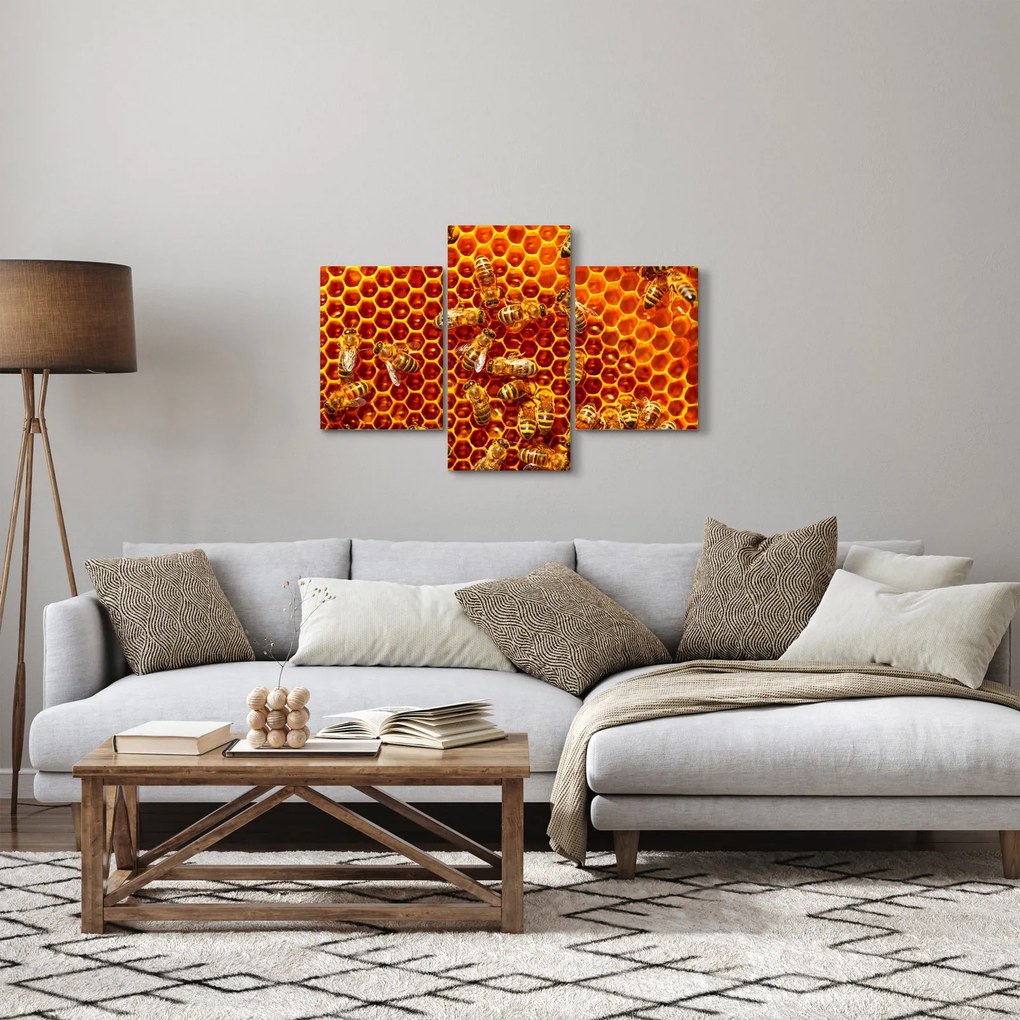 Kép - Méhsejtes (90x60 cm)