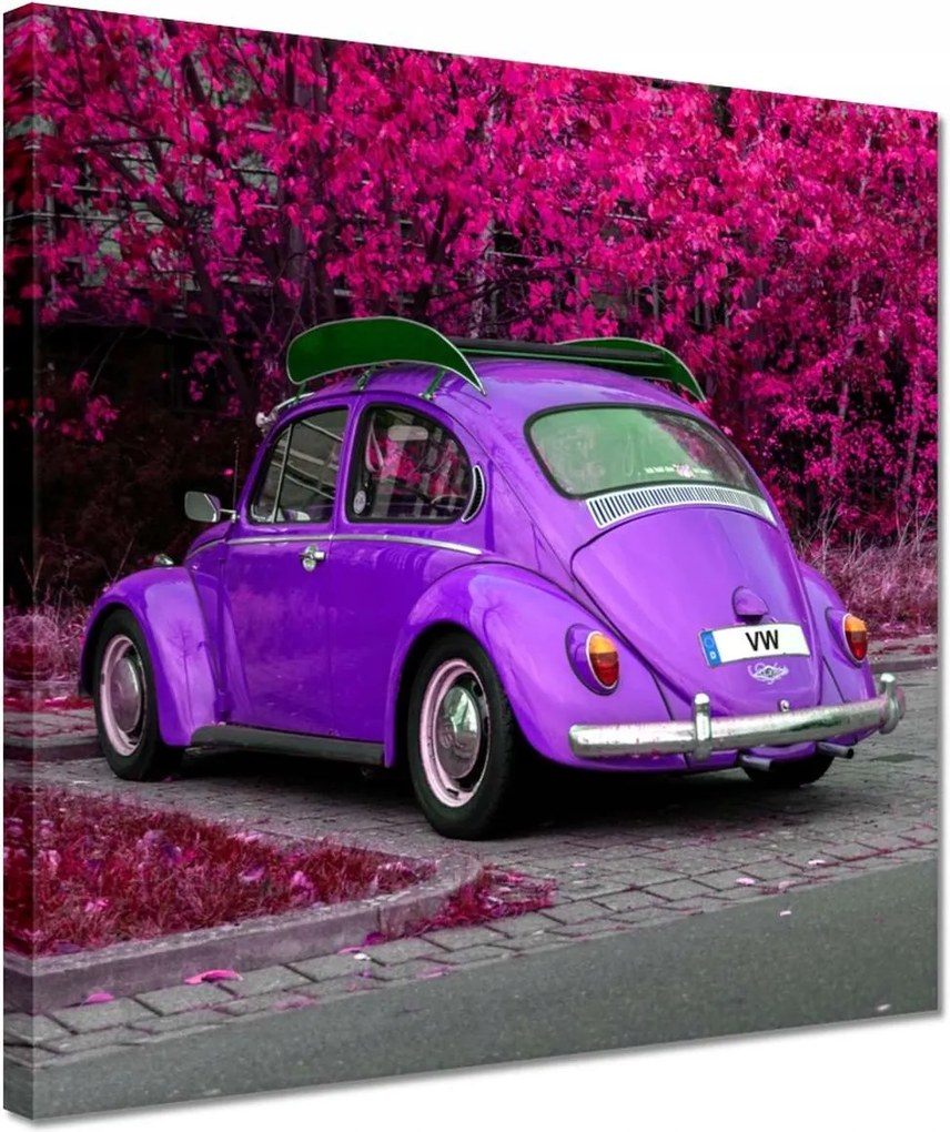 Vászonkép 30x30 Bogár Volkswagen Vw Auto
