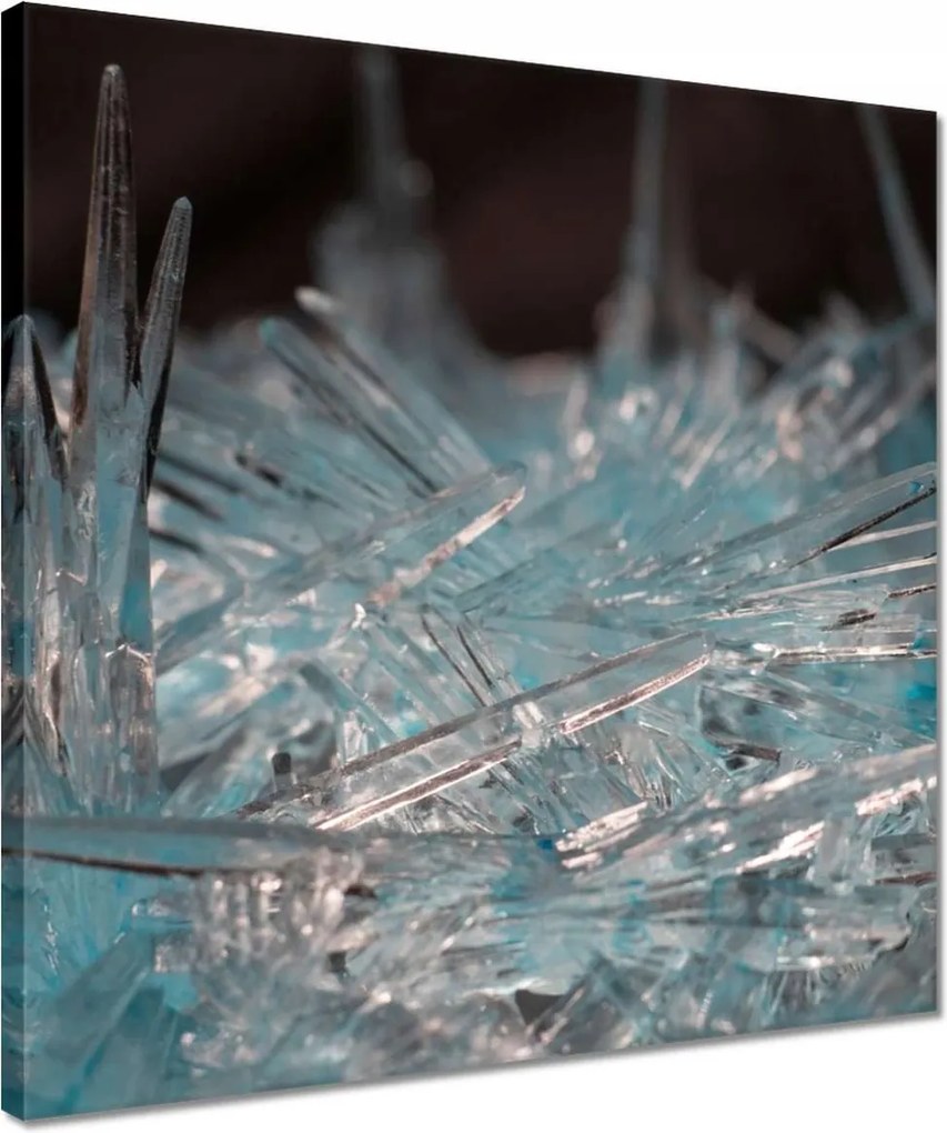 Vászonkép 40x40 Makrofotó MacroFoto