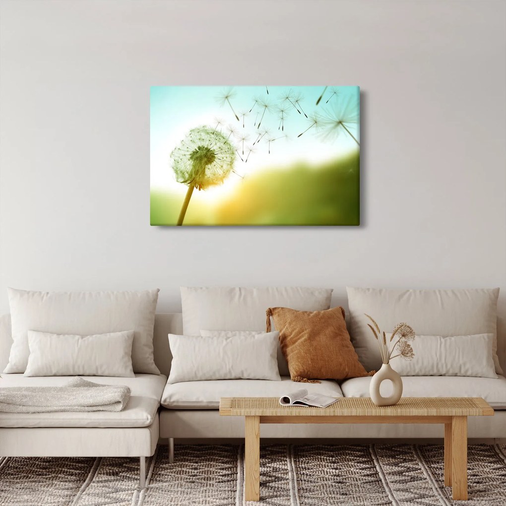 Kép - Pitypang a szélben (90x60 cm)