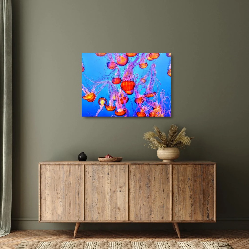 Medúza a tengerben képe (üvegen) (70x50 cm)