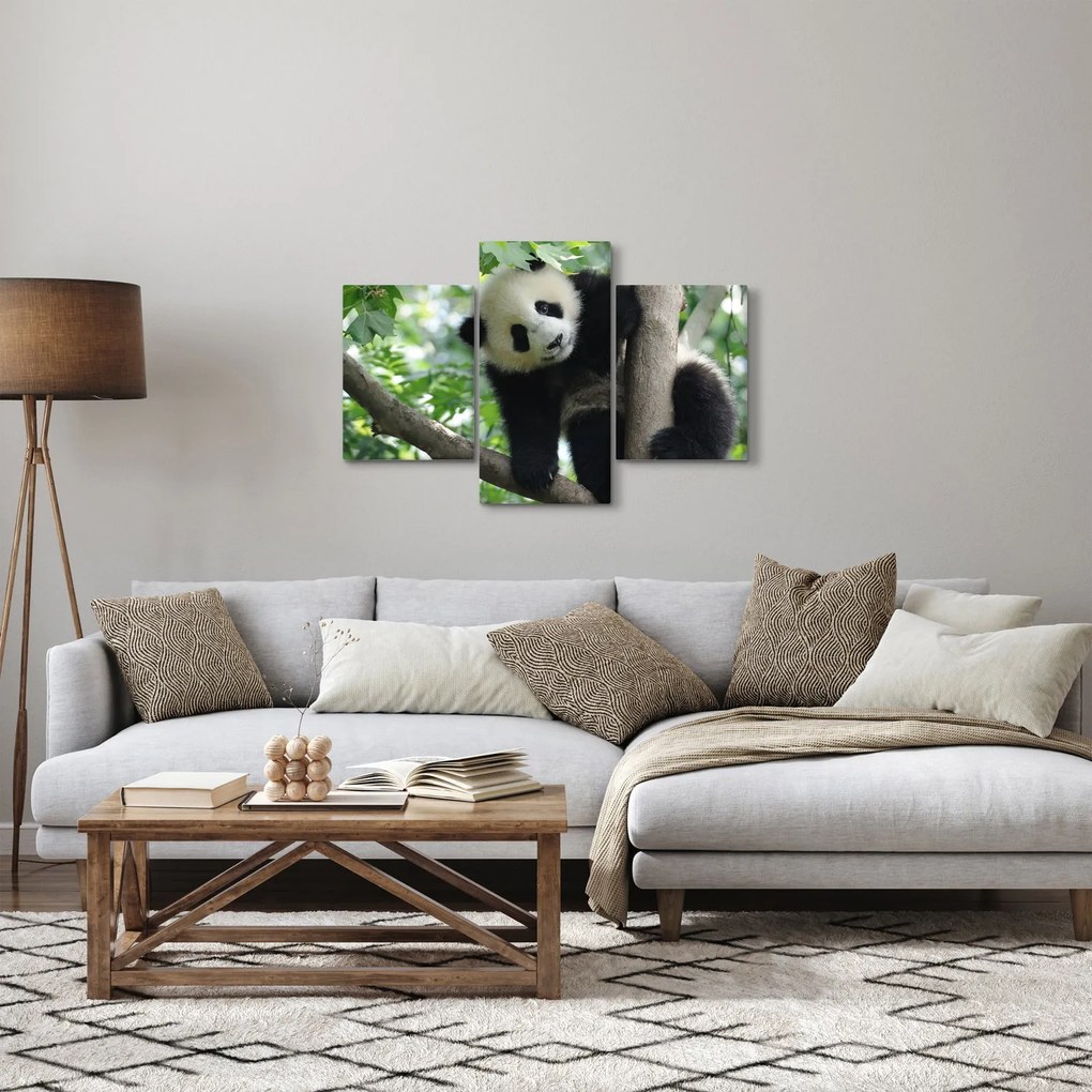 Kép - Panda a fán (90x60 cm)