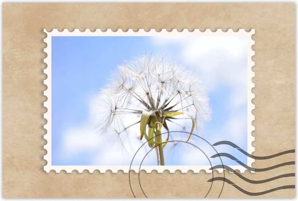 Poszterek 60x40 Pitypang Virág Virágok