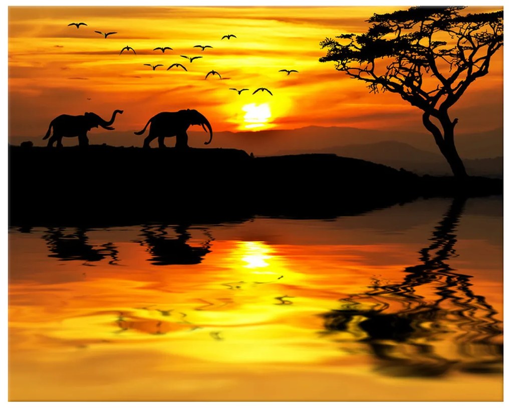 Gario Vászonkép Afrika Méret: 100 x 40 cm