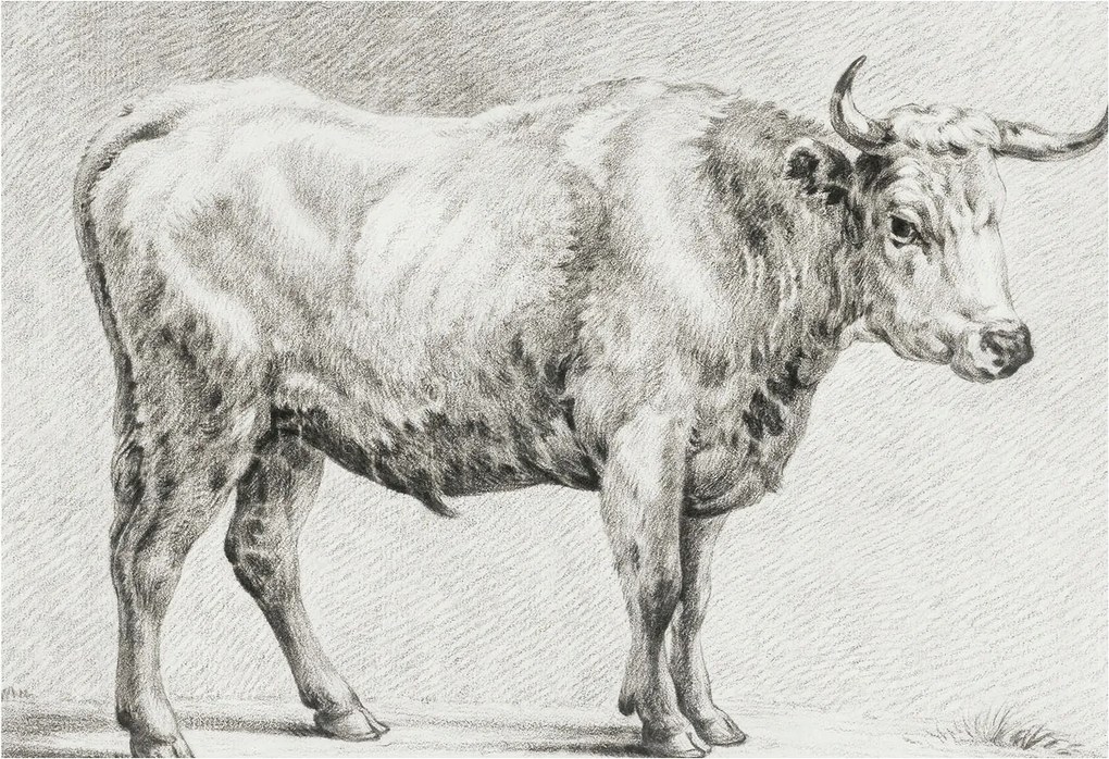 Fotótapéta Flizelina Nappali és Hálószoba Bika ceruza 152x104 Ragasztó