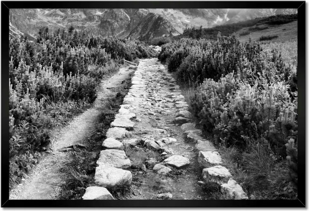 Poszterek keretben 60x40 Tátra Lengyel hegyek Kilátás