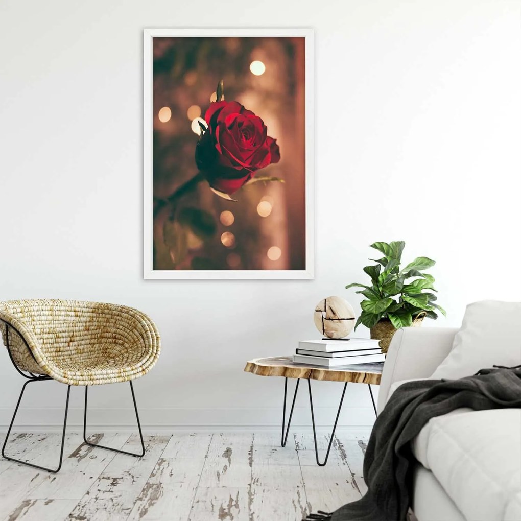 Gario Poszter Piros rózsa virág A keret színe: Fehér, Méret: 40 x 60 cm