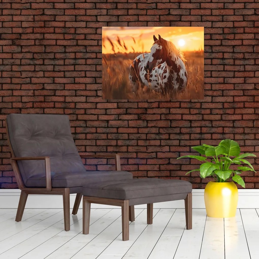 Kép - Ló naplementében (70x50 cm)