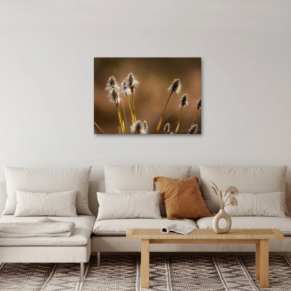 Kép - Fű (70x50 cm)