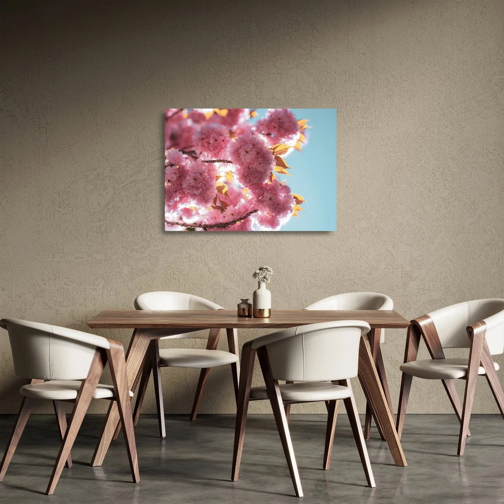 Üveg kép - Cseresznyevirág (70x50 cm)