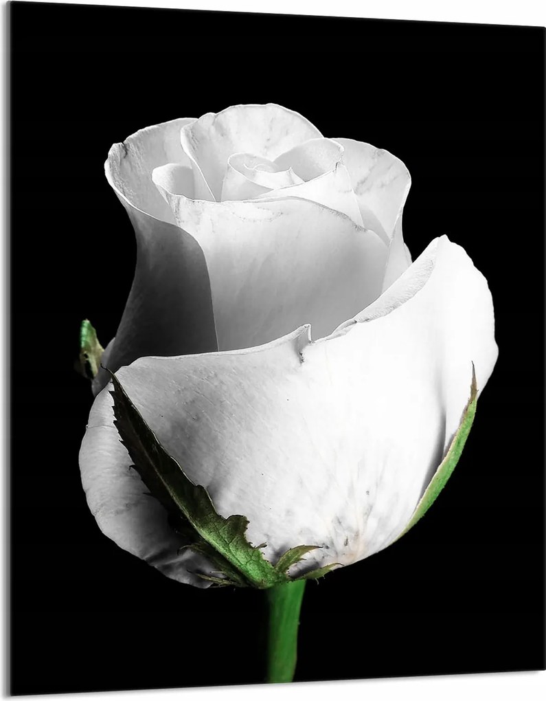 Üveg Vágódeszka 40x52 Rózsa a Konyhába