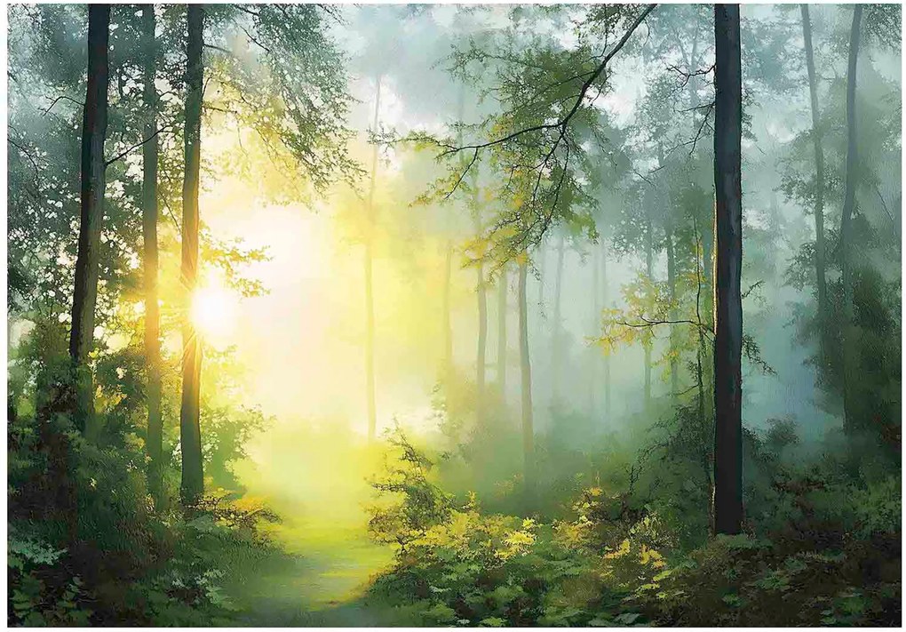 Fotótapéta Erdő 3D Fák Nap Természet Falra Hálószoba Nappali 250x175