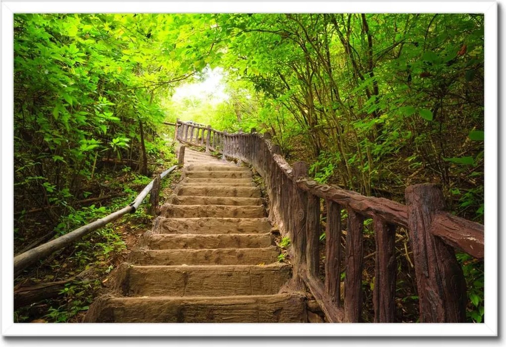 Poszterek keretben 60x40 Lépcsők az erdőbe