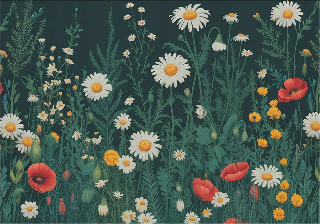 Flizelin tapéta falra Prémium Mezei virágok 208x146 Ragasztó