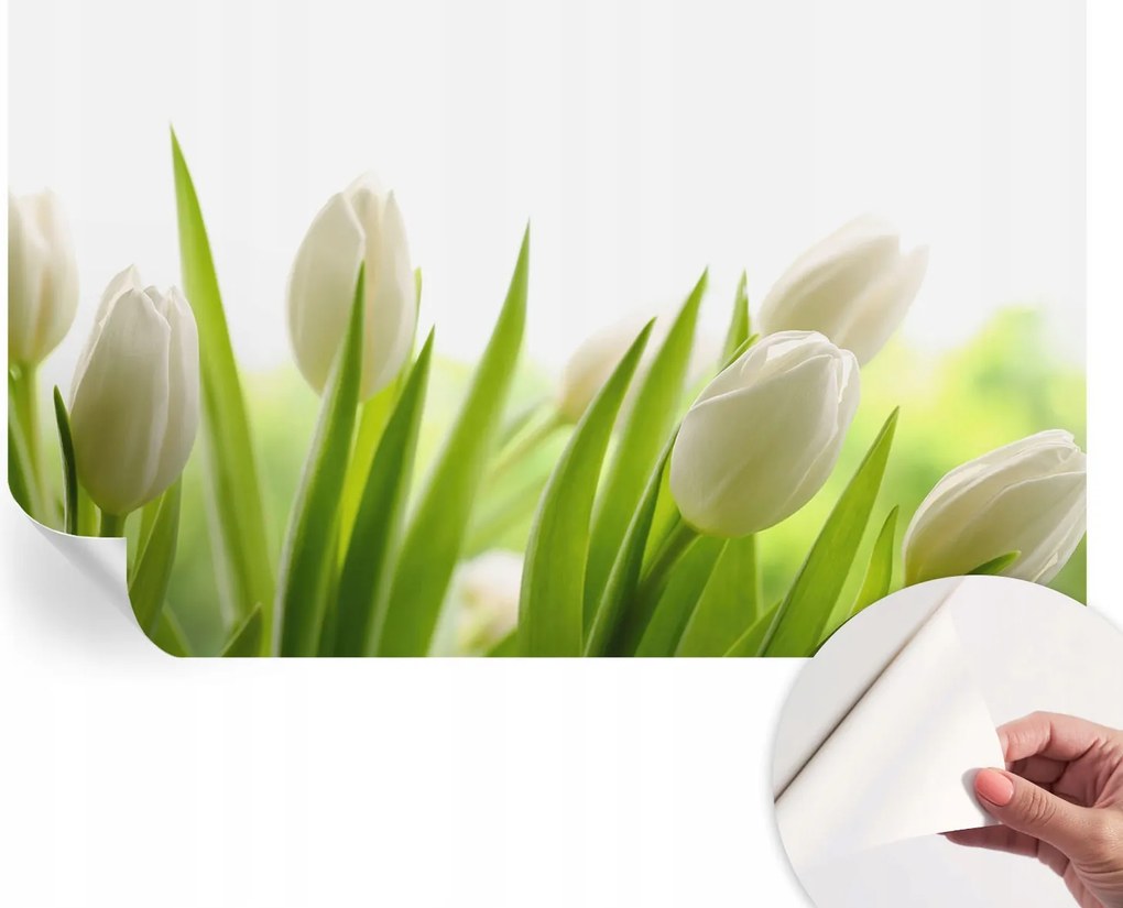 Dekoratív Öntapadós Tapéta Divatos Minták Fehér tulipánok 416x254 cm