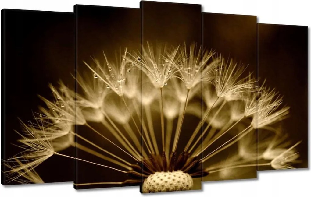 Vászonkép 100x60 Pitypang Virág Virágok