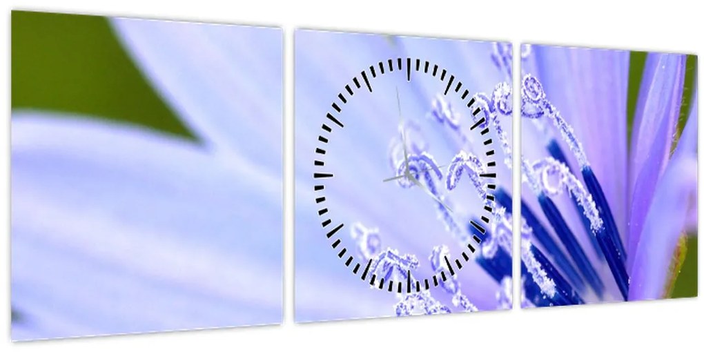 Kép - Virág (órával) (90x30 cm)