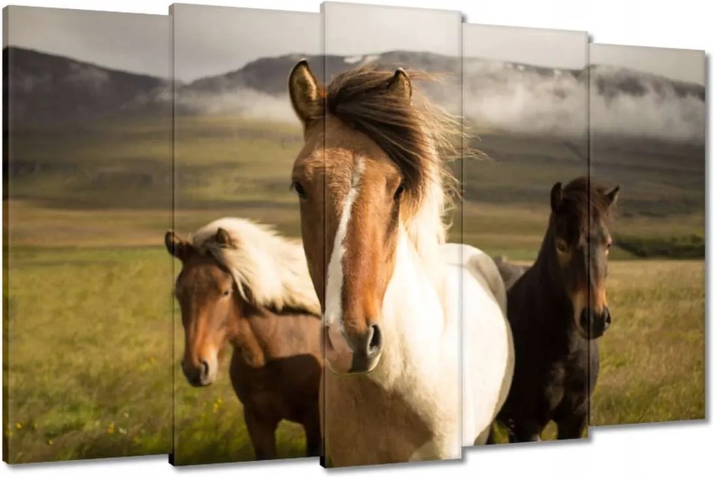 Vászonkép 150x95 Vad lovak