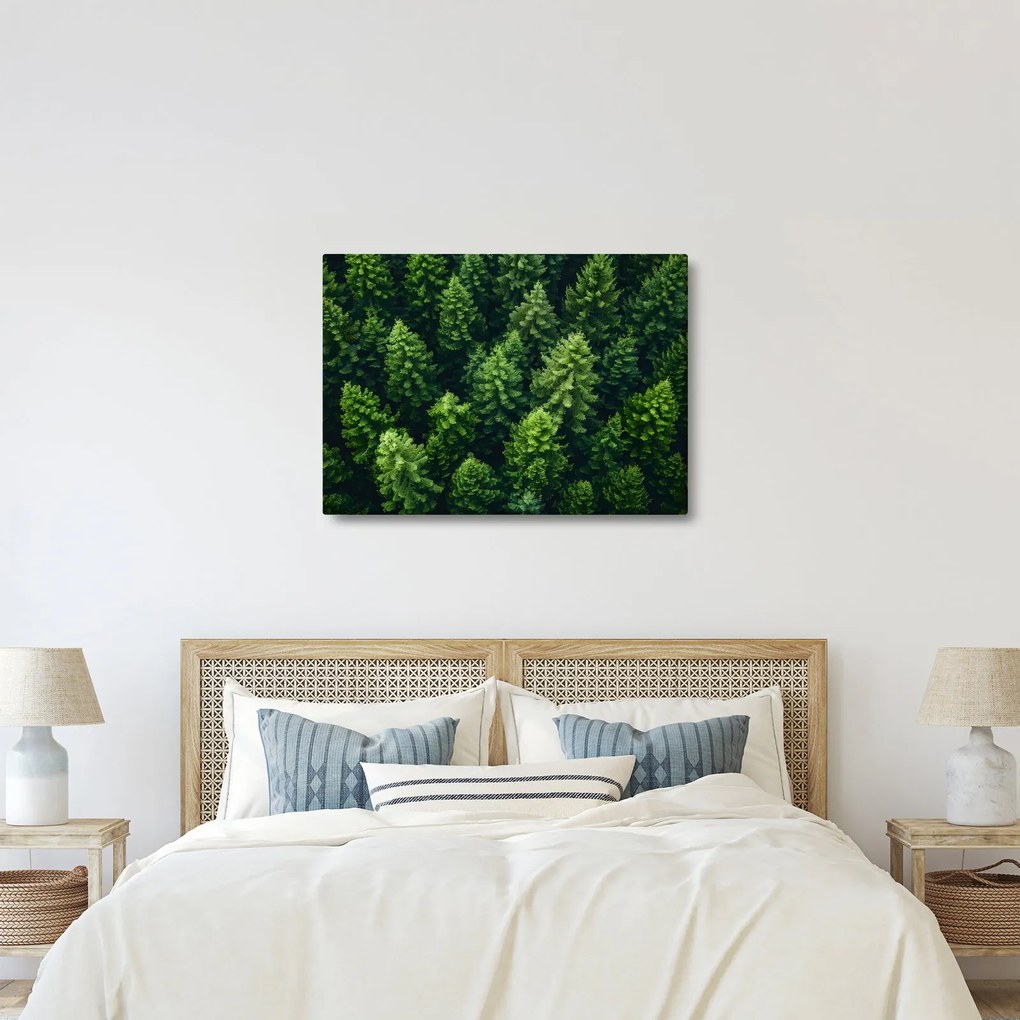 Kép - Forest (70x50 cm)