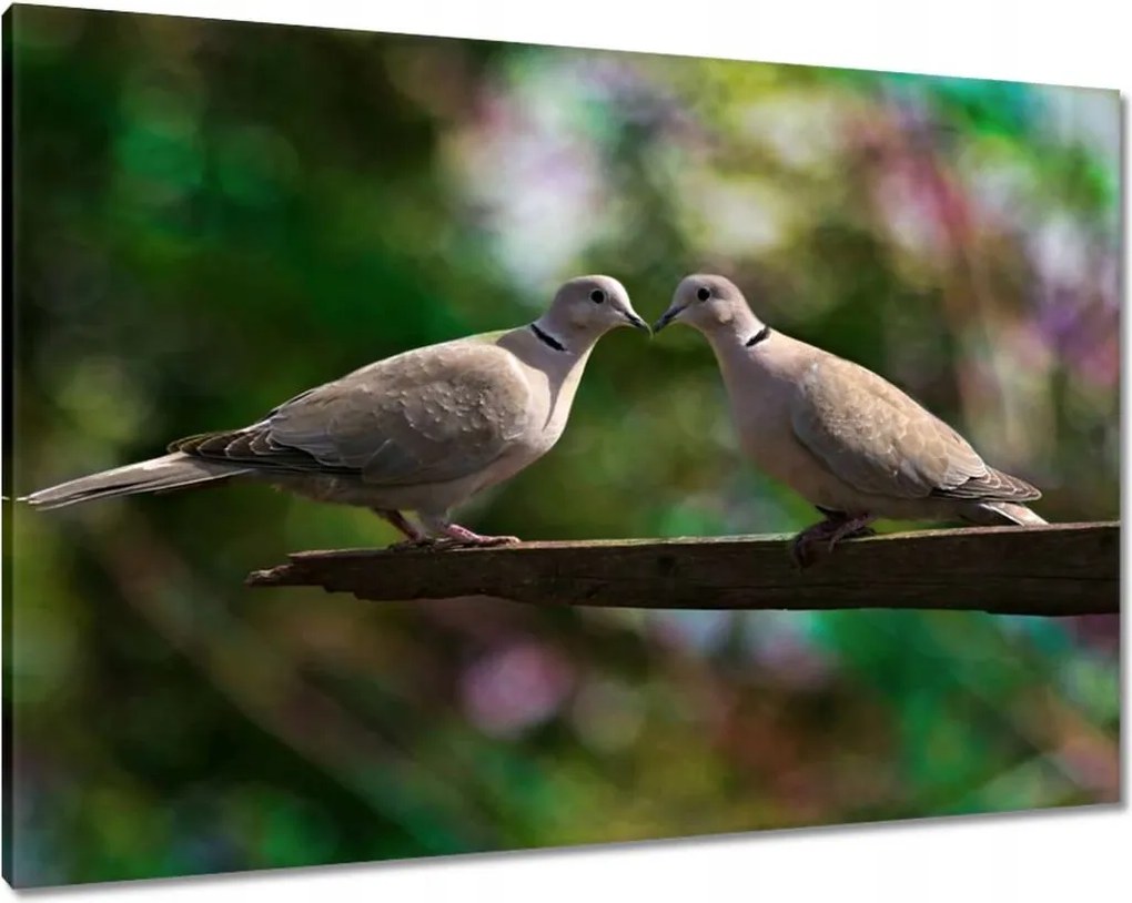 Vászonkép 100x70 Szerelem Érzés Párkapcsolat