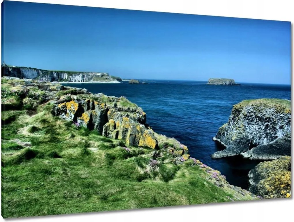 Festmények 120x80 Carrick A Rede