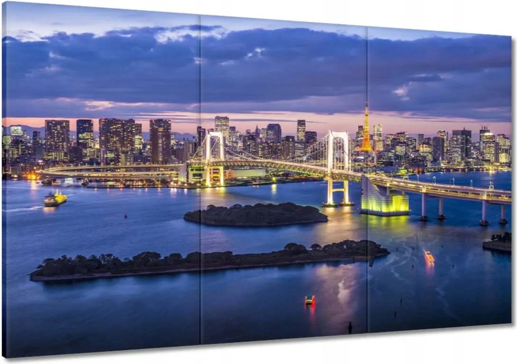 Képek 120x80 Szivárványhíd Tokióban